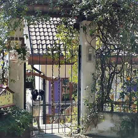 Finestra Sul Piemonte A Torinese Revigliasco